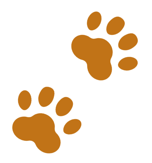 Otete